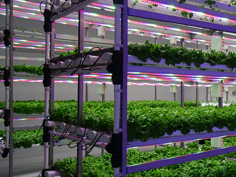 CONTROLLED ENVIRONMENT AGRICULTURE