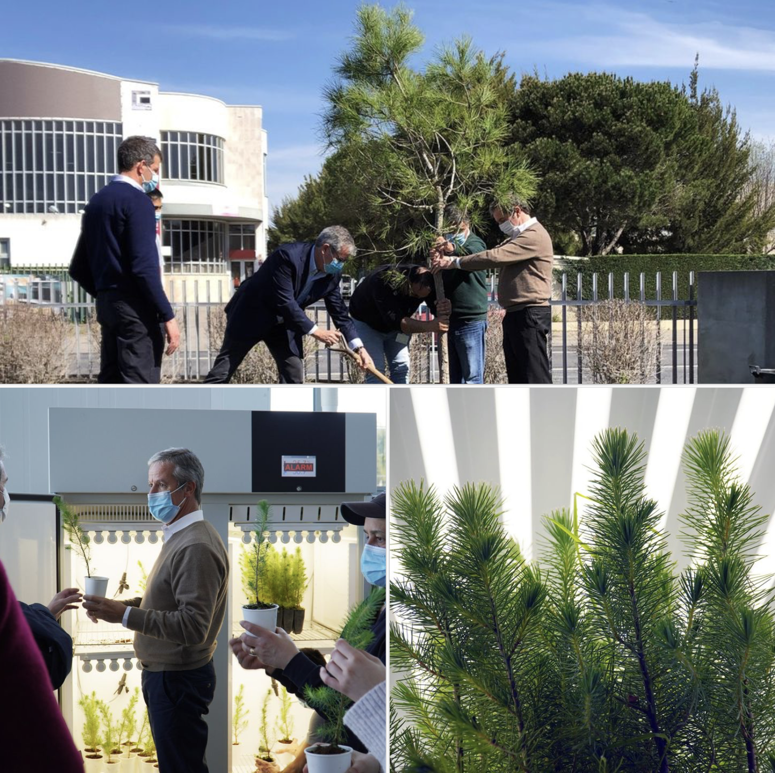 Aralab 37 anniversary planting trees
